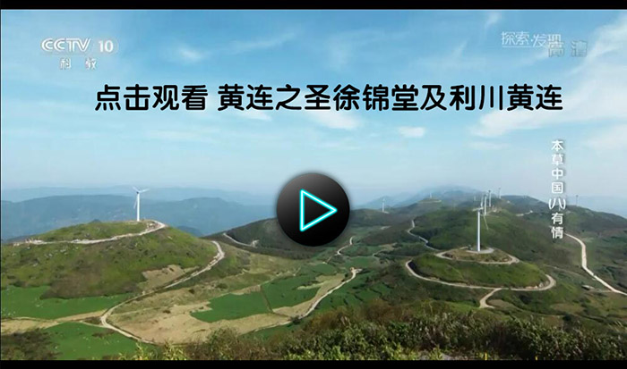 144900493.jpg ff22.jpg